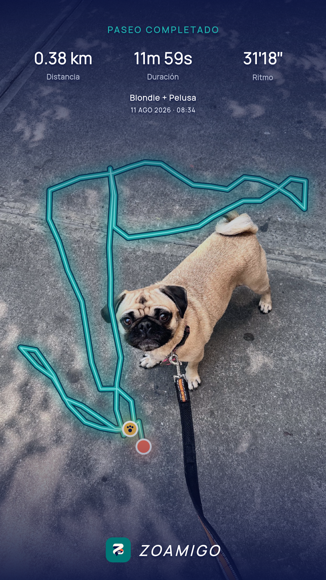 Postal real de un paseo completado en Zoamigo con distancia, duración, ritmo y ruta